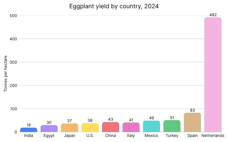 Eggplant yield gap, greenhouse vs. field production.jpg